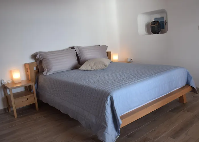 Appart hôtel Andromeda Mykonos & 4*