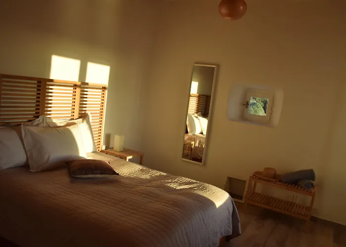 Andromeda Mykonos & 4*