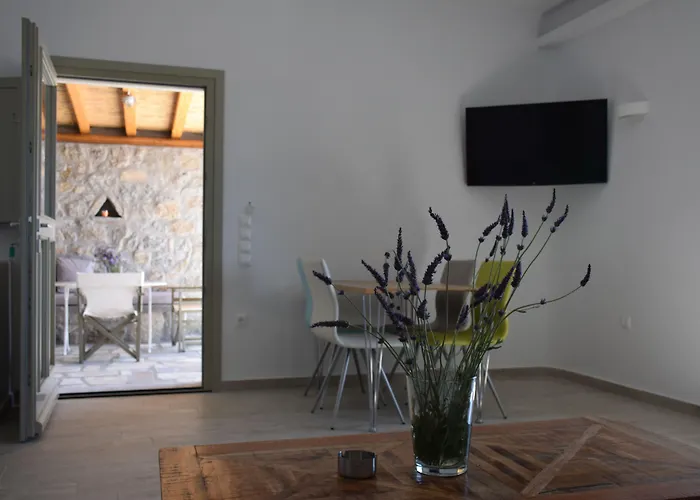 Appart hôtel Andromeda Mykonos &