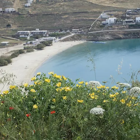 Apartmanhotel Andromeda Mykonos &