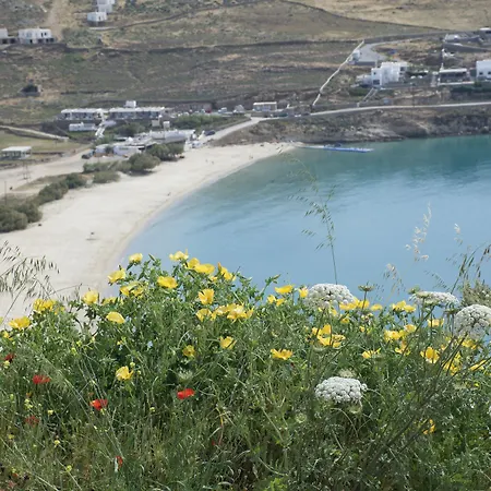 Andromeda Mykonos & Kalo Livadi