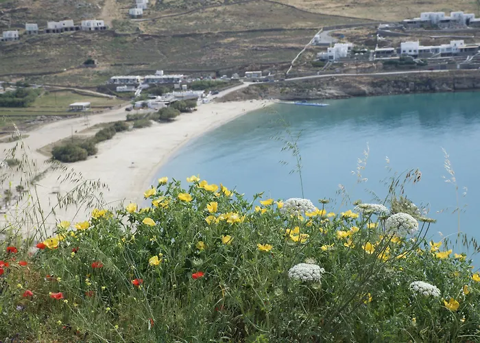 Andromeda Mykonos Villas&suites Playa Kalo Livadi